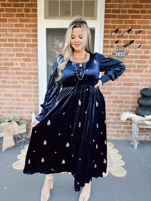 Elaine Embroidered Velvet Maxi