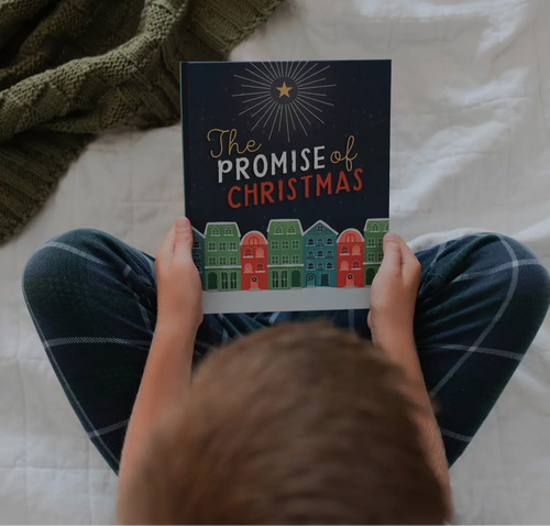 The Promise of Christmas Children’s Book