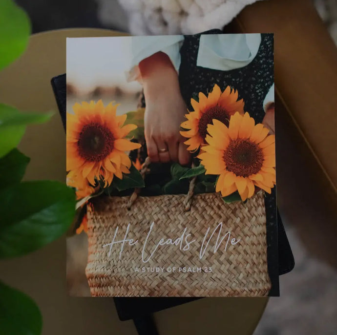 He Leads Me Bible Study