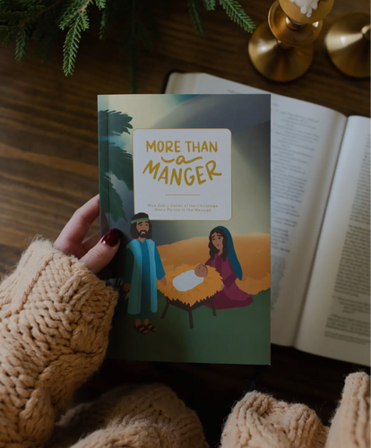 More than a Manger Advent Book