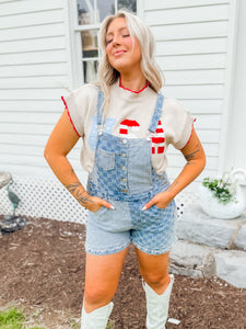 Just Getting Started Checkered Bibs