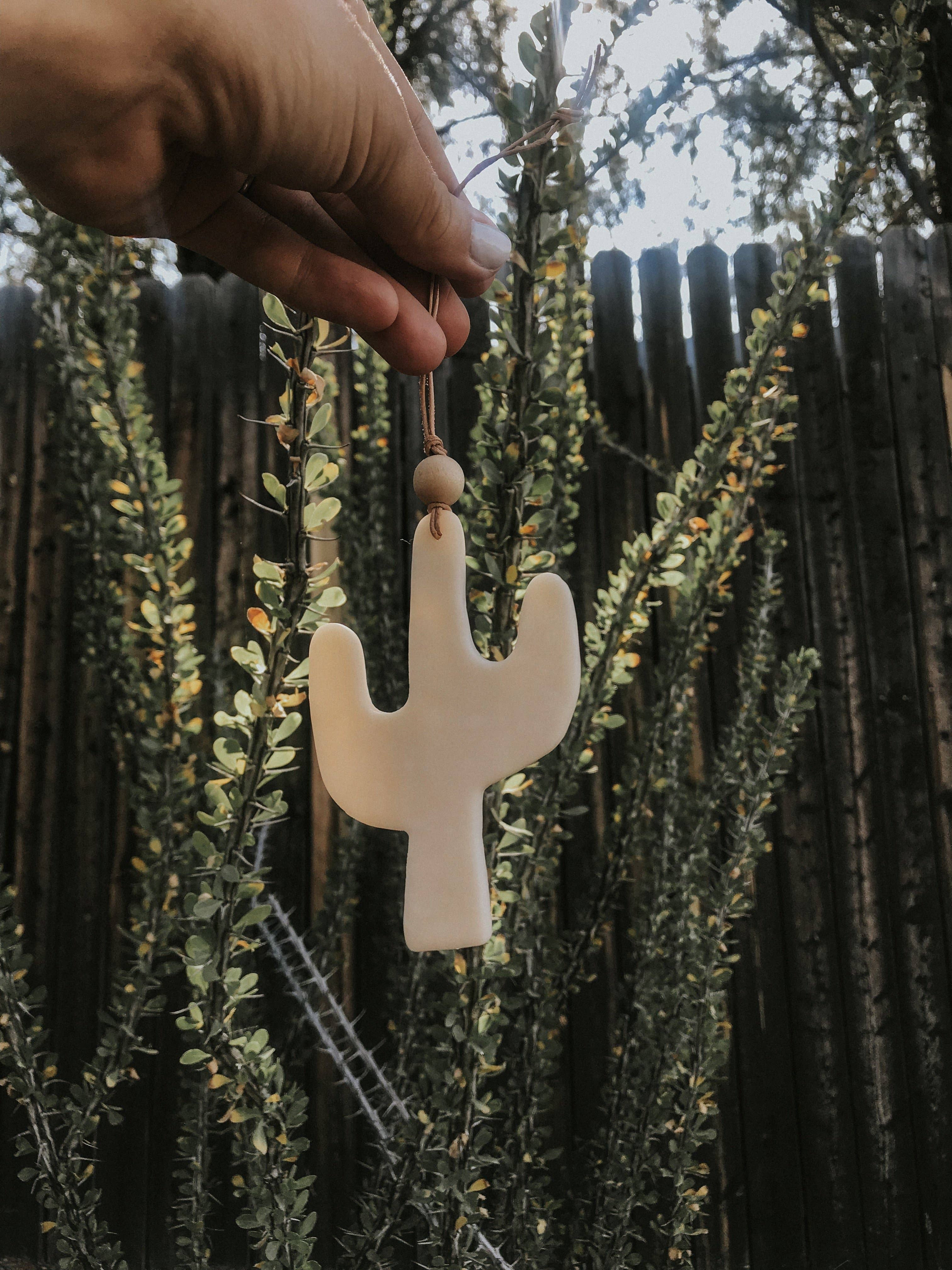 A hand holds up a black Desert Cactus Car Diffuser on a string, with green leafy branches and a wooden fence blurred in the background.