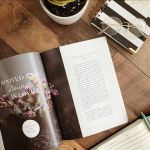The Daily Grace Co - Chosen Study of Ephesians